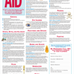 3 in 1 First Aid Choking CPR Chart 100 pk AAP
