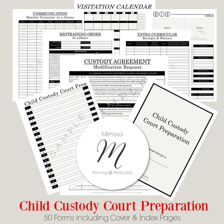 Child Custody Planner Court Planner Co parenting Single Parent