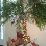 Coastal Christmas Tree By Barbra Christmas Palm Tree Florida