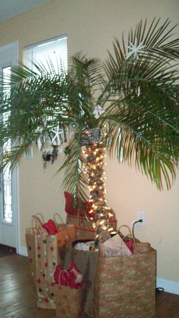 Coastal Christmas Tree By Barbra Christmas Palm Tree Florida 