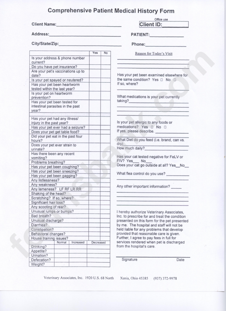 Comprehensive Patient Medical History Form Printable Pdf Download