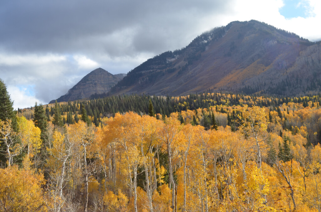 Fall Leaves Exploring Utah s Alpine LoopMom It Forward