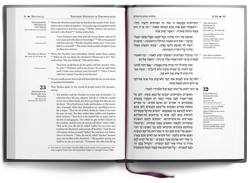 FRANZ DELITZSCH HEBREW NEW TESTAMENT PDF