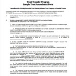 FREE 8 Trust Amendment Forms In PDF