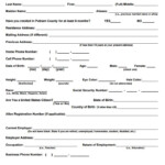 Free New York Pistol License Application PDF Template Form Download