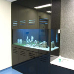 Full Height Tanks Tall Aquarium With Floor to ceiling Cabinets N30 Tank