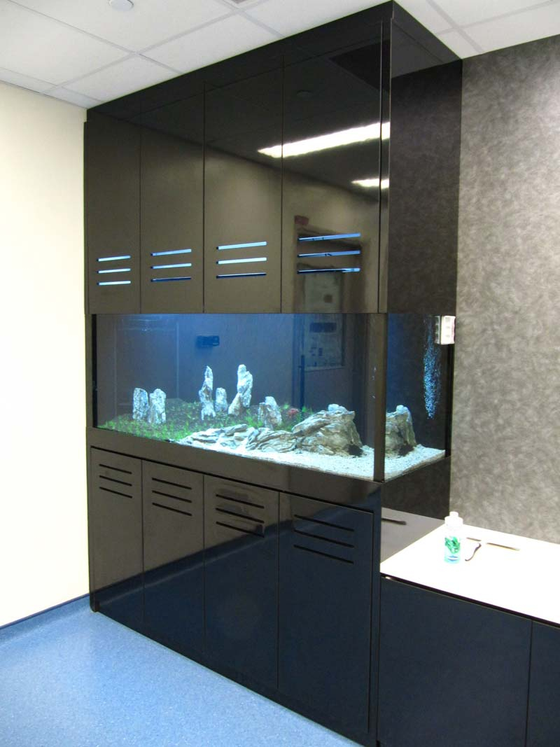 Full Height Tanks Tall Aquarium With Floor to ceiling Cabinets N30 Tank