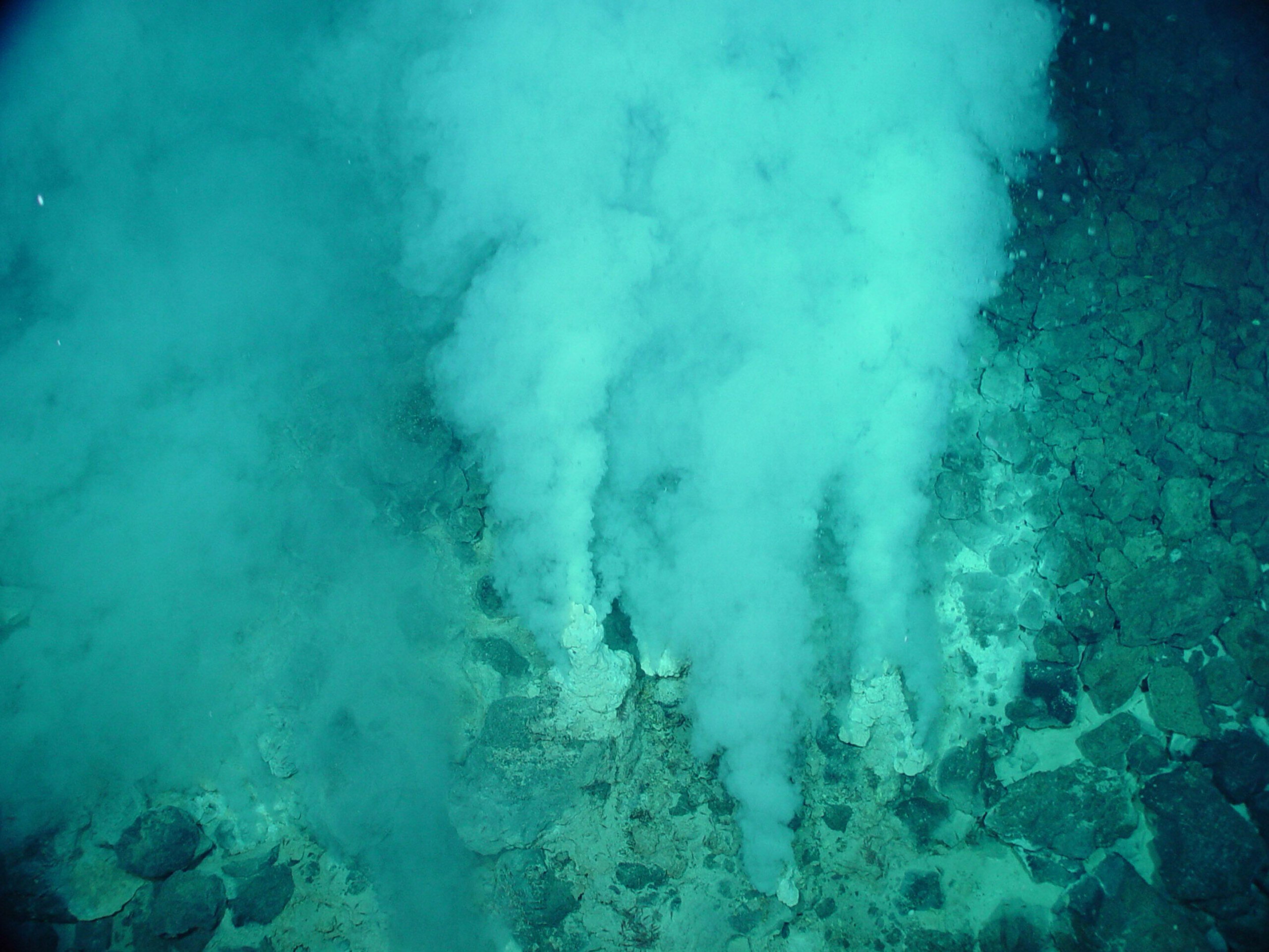 Hydrothermal Vent Chemistry And Life National Geographic Society