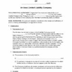 Iowa Single Member LLC Operating Agreement Form EForms