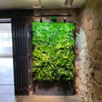 Living Green Wall Design For Commercial Residential Buildings In