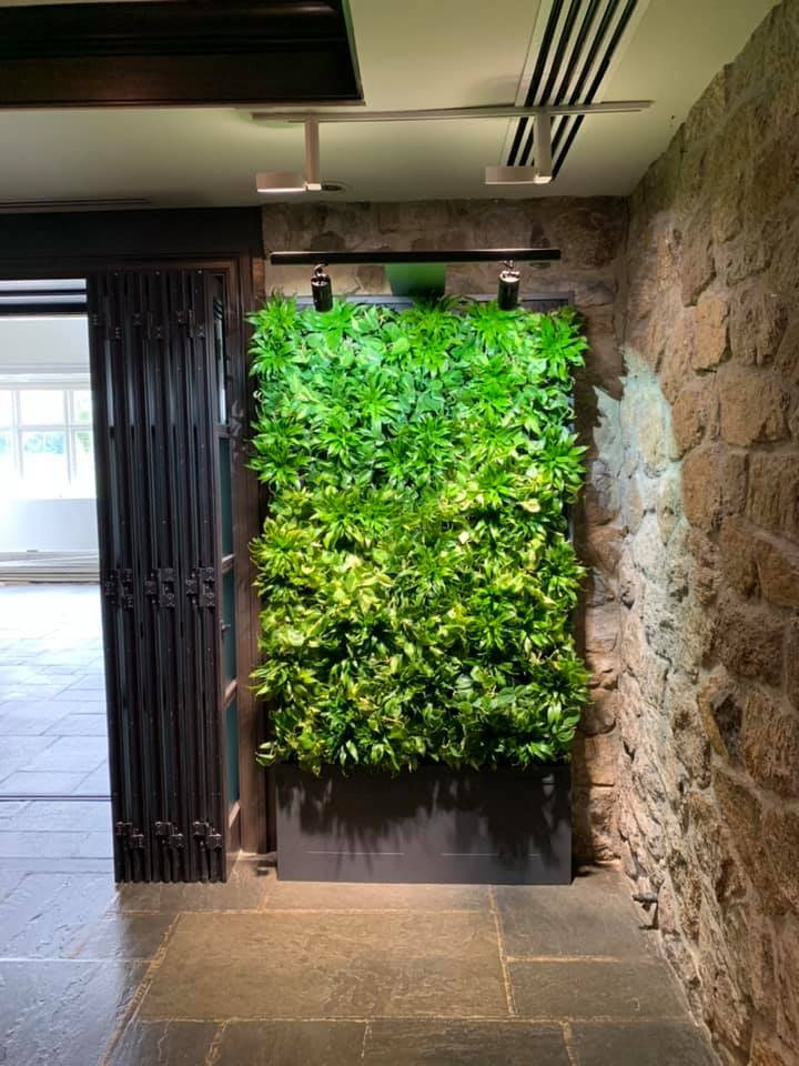 Living Green Wall Design For Commercial Residential Buildings In 