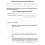 Power Of Attorney For Guardianship Of Children Tennessee Free Download