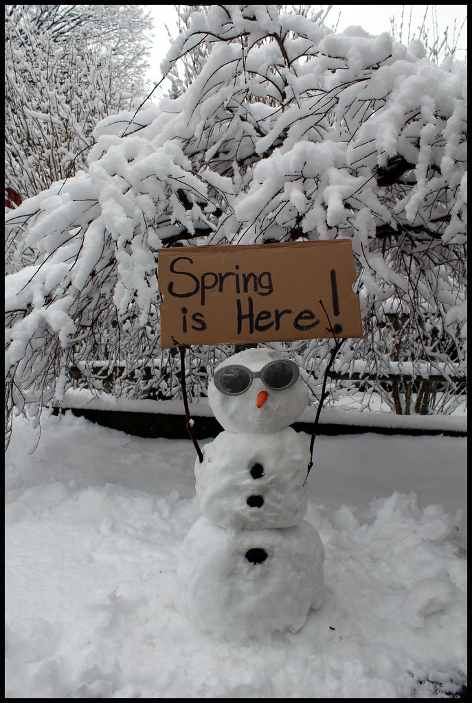 Spring Is Here Michigan Snow Storm Story Behind This Sh Flickr