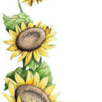 Sunflower Sunflower Drawing Flower Drawing Sunflower Art