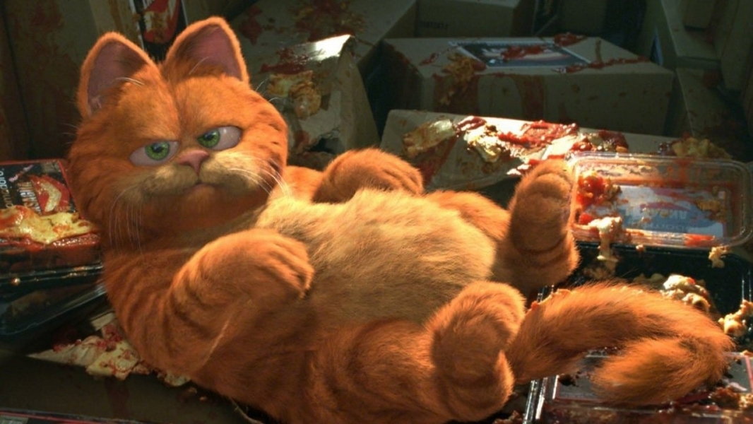 Watch Garfield Online Free On TinyZone